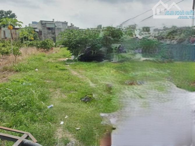 Bán Gấp 7300m2 Đất Thổ Cư Mặt Tiền Nguyễn Tri Phương, Dĩ An. SHR Giá Đầu Tư Chỉ 140 Tỷ - 2