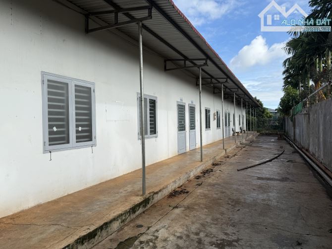 Cho thuê nhà xưởng tại KCN Tân An, Đăk Lăk - 2