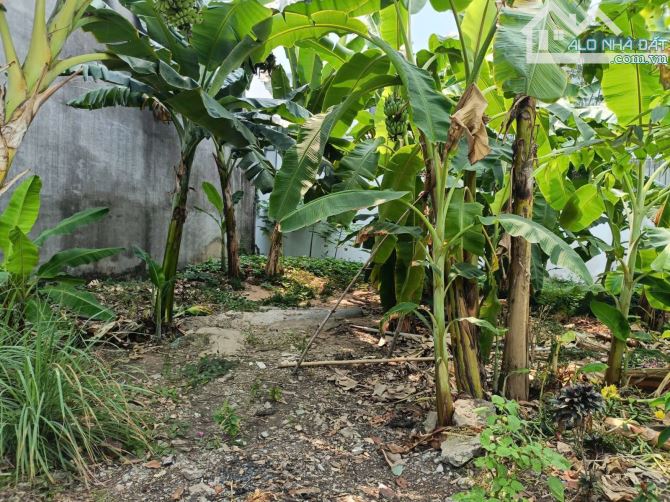 🔥 LÔ ĐẤT ĐẸP – VỊ TRÍ ĐẮC ĐỊA 🔥 📍 Diện tích: 112m² (7m x 16m) 🌳 Đối diện công viên – K - 2