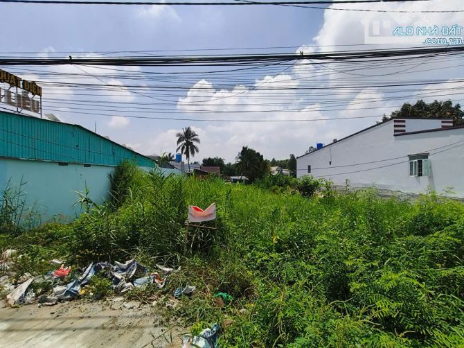 Đất mặt tiền Quốc lộ 80 ở Mong Thọ B - 2