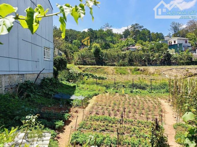 ĐẨT XÂY VILLA CÓ VIEW ĐƯỜNG TRẦN THÁI TÔNG P10 248M2 NGANG 12M CÁCH HỒ 2,4KM GIÁ 8.5 TỶ - 2