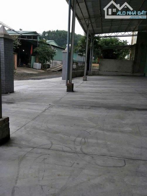 Bán xưởng 2000m2 Thiện Tân, đường xe công, đường nhựa, giá rẻ(XB060) - 2