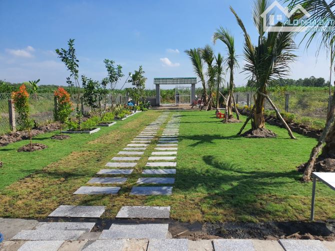 Bỏ phố về vườn, 455,4m2, SHR, Phước Thạnh, Giá 1 tỷ 250. - 2