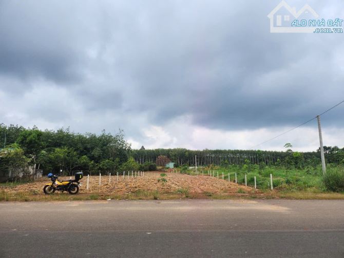 Bán 3.500m2 đất ngay chợ Tân Phước, đồng phú - 2