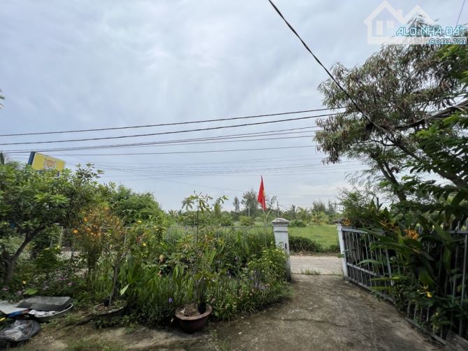 🎉🎉BÁN LÔ ĐẤT XÂY VILLA_BIỆT THỰ VIEW SÔNG NƯỚC HÀNG DỪA XANH - 2