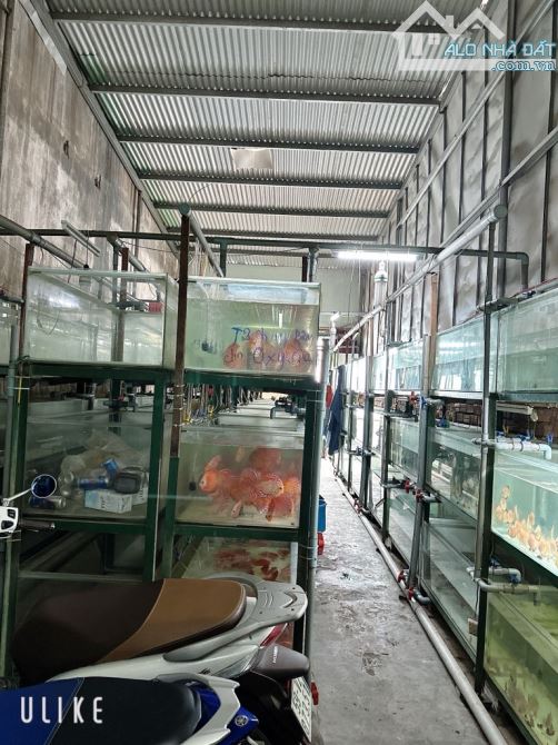 Lô đất full thổ cư 120m2 (70 triệu/m2) hẻm 8m xe tải tới nơi đường Lê Đức Thọ P13 Gò Vấp - 2