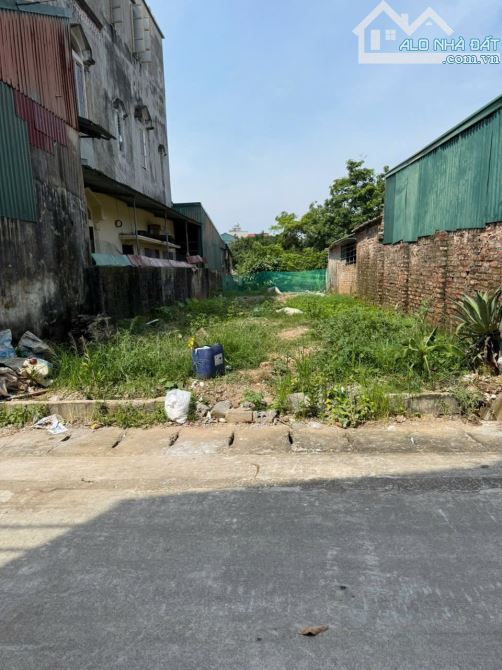 Đất thôn hạ chuyên Mỹ Phú xuyên hà nội - 2