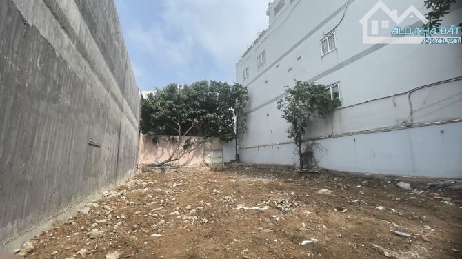 Bán đất biệt thự tân quy đông, tân phong quận 7 giá 45 tỷ - 2