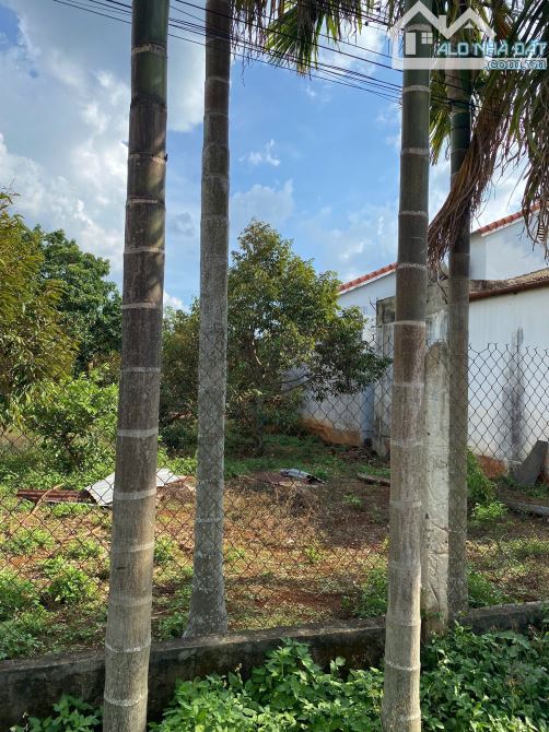 📣Bán Đất 5x47m đường 4A gần Chợ Đạt Lý, Quốc Lộ 14 tầm 100m, Buôn Ma Thuột 1tỷ800triệu - 2