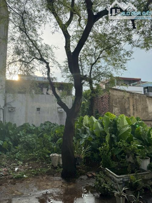 78m2 đất ngõ 284 Đồng Hoà - Ngang 4,4m - Đông nam - 2