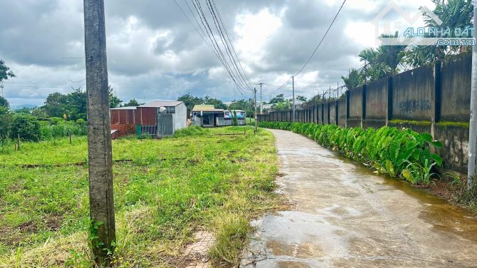 ĐẤT THỔ CƯ HOÀ PHÚ - BMT - ĐAKLAK 8x16m 739Triệu - 2