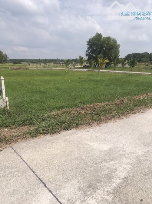 Bán gấp lô đất vườn, 566m2, Nhuận Đức, SHR, Giá chỉ 780tr. - 2