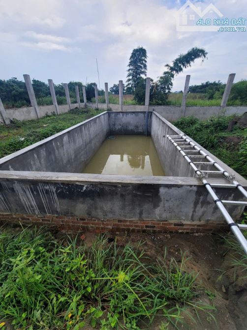 Cần bán đất xã Xuân Đông , huyện Cẩm Mỹ , Đồng Nai 10200m2 giá 10,8 tỷ - 2