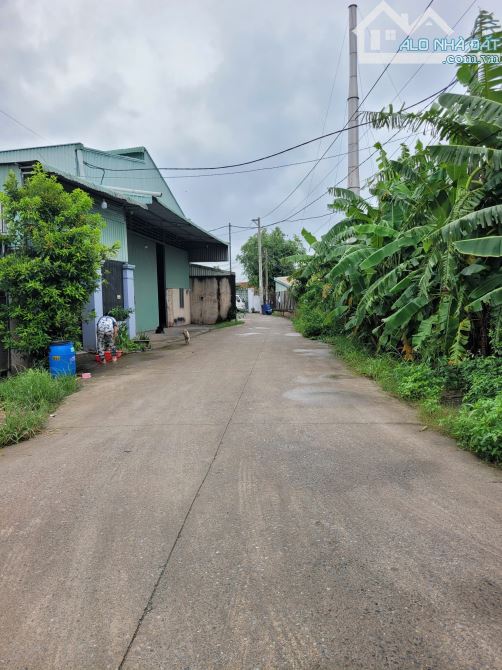 đất 186,3m2 3ty750 TL cách đường Liên Huyện 150m p.An Phú Tp.Thuận An - 2