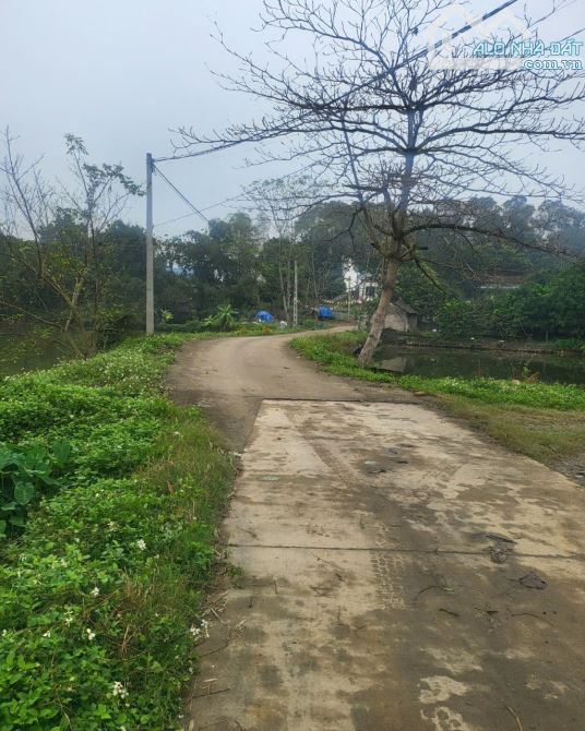 SIÊUPHẨM LÔ ĐẤT NGHỈ DƯỠG GẦN HỒ -VIEW THOÁNG -ĐƯỜNG OTO TRÁNH SIÊU RỘNG  -CÁCH TT HN 30KM - 2