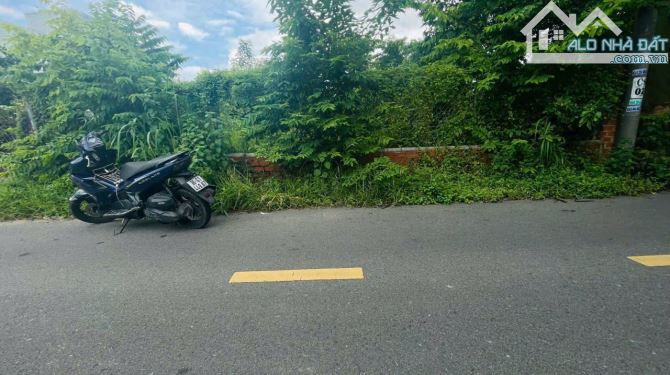 Bán Đất Mặt Tiền Đường Nhựa Phước Hội -Xã Phước Hải-TP HCM. Cách Đường Võ Th - 2