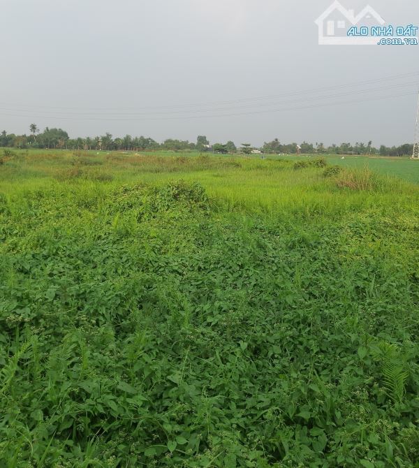 Bán Đất Khủng 5445m2 Mặt tiền TL6 Phú Lợi Phú Mỹ Hưng Củ Chi TP. Hồ Chí Minh giá 24 tỷ - 2
