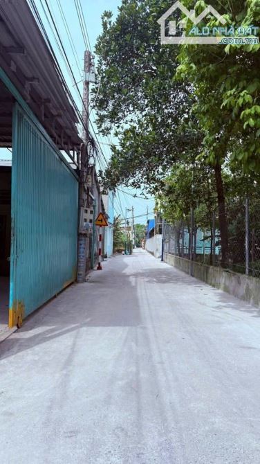 Đất bình nhâm, thuận an, BD củ, TPHCM. 7,8 x15 = 117m2 ODT - 2