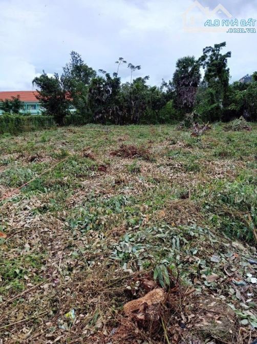 Bán đất đường QL91, Phường Tịnh Biên, Thị Xã Tịnh Biên, An Giang - 2