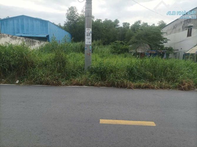 611m2 đất mặt tiền Lê Đình Chi, xã Lê Minh Xuân, Bình Chánh giá 8 tỷ - 2