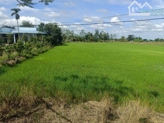 738m đất thổ mặt tiền đường Ao Gòn Tân Lân Cần Đước bao san lắp giá đầu tư. - 2