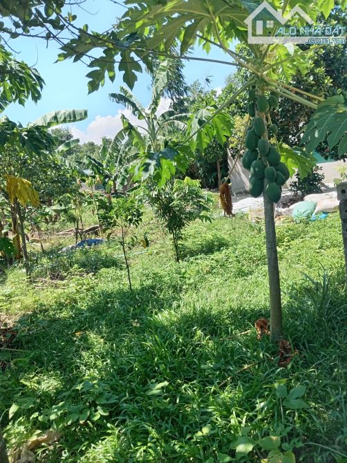 Bán 1450m2 đất tại Bình Yên _ Thạch Thất, ranh giới gọn gàng - 2