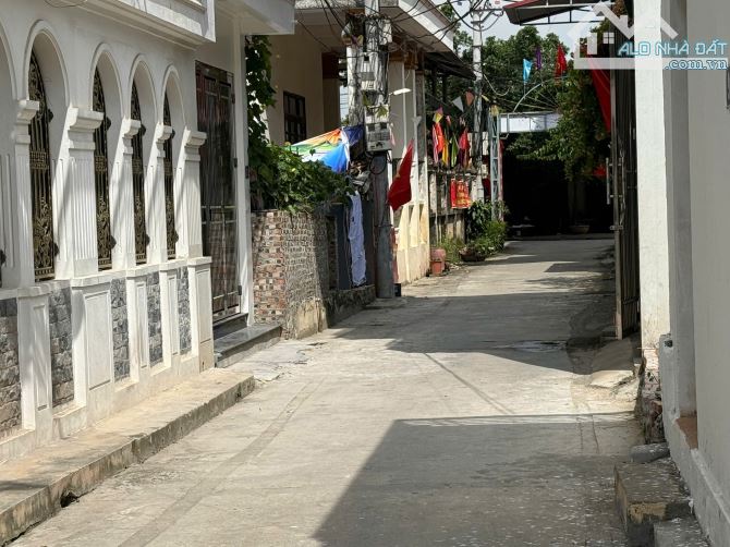 Bán đất Đan Phượng- ô tô 7 chỗ vào tận nơi, ngõ thông, gần tỉnh lộ 417, gần KCN, xây ở hoặ - 2