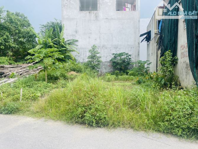 Bán đất Trà Khê - Anh Dũng - Dương Kinh - Hải Phòng - 3