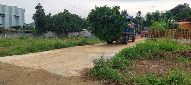 Bán lô đất đẹp vuông vắn 2 mặt kiệt, 120m2 đất ở ngang 8,61m nở hậu - 3