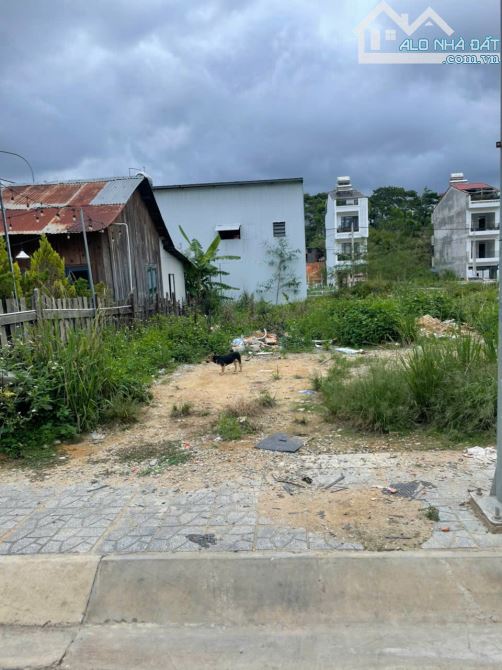 🌿 BÁN ĐẤT GIÁ TỐT – KQH PHẠM HỒNG THÁI, P. XUÂN HƯƠNG (P10 cũ), ĐÀ LẠT 🌿 - 3
