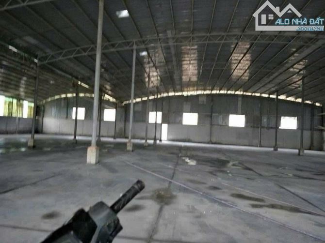 Bán xưởng 2000m2 Thiện Tân, đường xe công, đường nhựa, giá rẻ(XB060) - 3