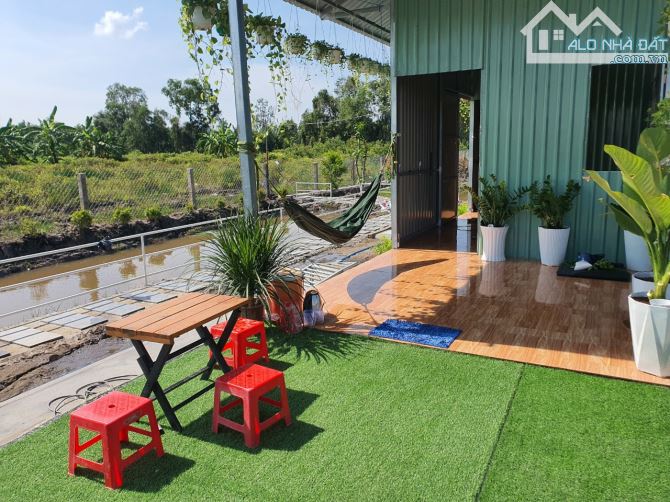 Bỏ phố về vườn, 455,4m2, SHR, Phước Thạnh, Giá 1 tỷ 250. - 3