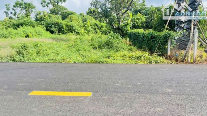 BÁN ĐẤT ĐƯỜNG NGUYỄN ĐÌNH CHIỂU SÁT QL55 VÀ TL44B XÃ ĐẤT ĐỎ - TP HCM.giá rẻ tiềm năng cao - 3