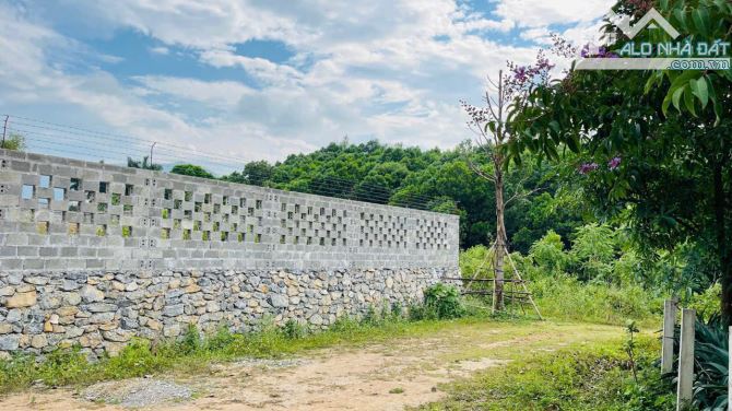 Bán đất dự án BOCA Cư Yên gần hồ Đồng Chanh diện tích 500m2 có TC lô góc 2 mặt tiền - 3