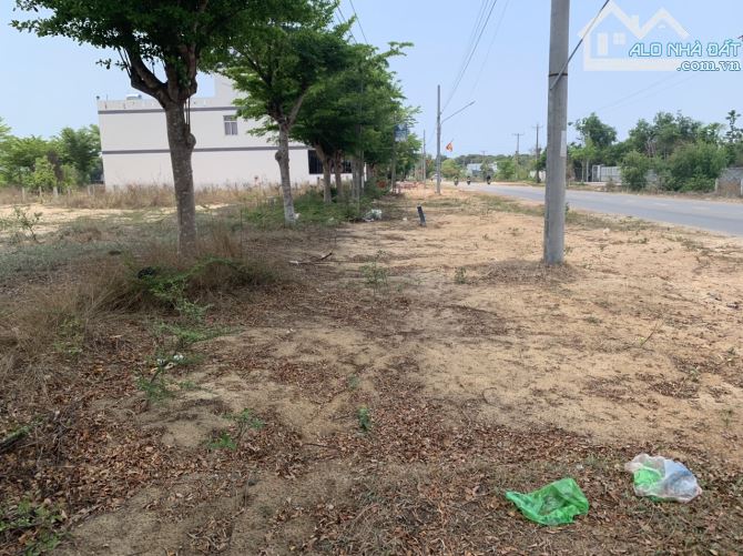 6x25 Mt Nguyễn Tri Phương, KDC SGHT Tân Bình,  LaGi gần biển đồi dương giá ngộp - 3