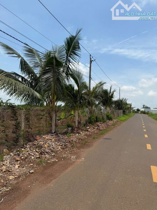 Đất long tân đất đỏ gần biển , sau lưng chợ - 3