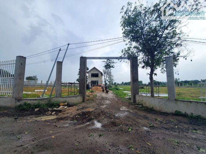Cần bán đất xã Xuân Đông , huyện Cẩm Mỹ , Đồng Nai 10200m2 giá 10,8 tỷ - 3