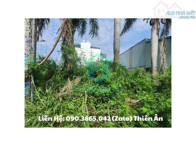 📢 Bán đất 70,9m² tại Tây Lân, Bình Trị Đông A, Bình Tân - 3
