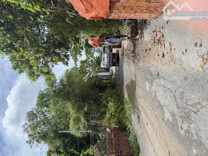 Bán lô đất thổ cư hẻm xe tải Đường số 12 Phường Trường Thọ, đất dân cư hiện hữu - 3
