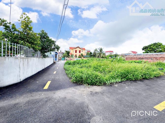 Bán lô góc siêu đẹp 74,4m2 ngang 5m Tân Linh Minh Tân Kiến Thụy - 3
