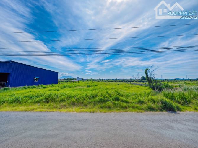 Bán Gấp Lô Đất Vàng 237m² Mặt Tiền 19m Sổ Hồng Riêng Gần Biển Lagi - 3