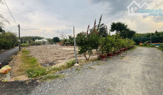chính chủ bán đất gần chợ Lộc Hưng Trảng Bàng sổ hồng 200m2 đường nhựa 8mét - 3