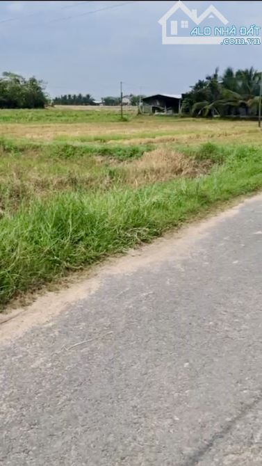 bán 10m ngang đất lúa mặt tiền đường thông ĐT787 vào 200mét trảng bàng tây ninh gần chợ - 3