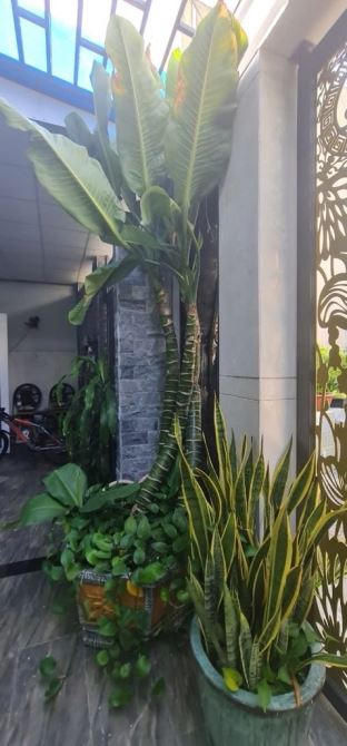 NHÀ ĐẸP TRƯỜNG CHINH - 70M2 - 5 TẦNG - NỘI THẤT CHÂU ÂU XỊN XÒ - 3