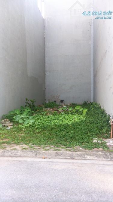 Hiếm Có, Đất Phố Nguyễn Sơn, Bồ Đề, 95m2, MT7.6m, Vỉa Hè, Kinh Doanh, Ô Tô Tránh - 3