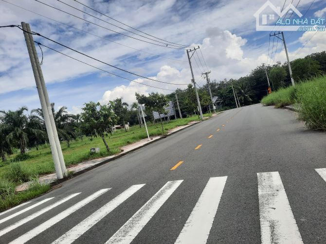 Đất nền long nguyên tp Hồ Chí Minh giá rẻ xin mời quý khách hàng đầu tư ạ!!! - 4