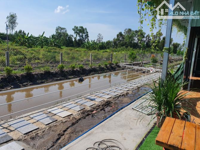 Bỏ phố về vườn, 455,4m2, SHR, Phước Thạnh, Giá 1 tỷ 250. - 4