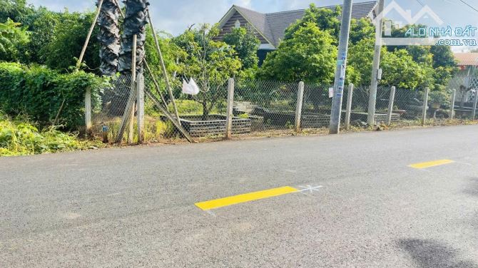 BÁN ĐẤT ĐƯỜNG NGUYỄN ĐÌNH CHIỂU SÁT QL55 VÀ TL44B XÃ ĐẤT ĐỎ - TP HCM.giá rẻ tiềm năng cao - 4