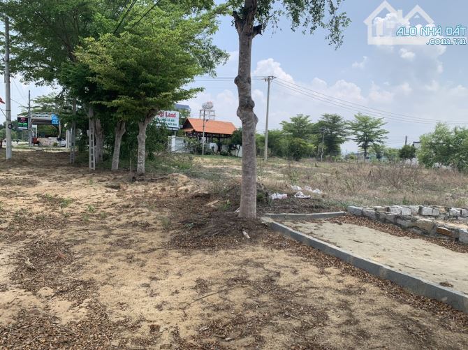 6x25 Mt Nguyễn Tri Phương, KDC SGHT Tân Bình,  LaGi gần biển đồi dương giá ngộp - 4