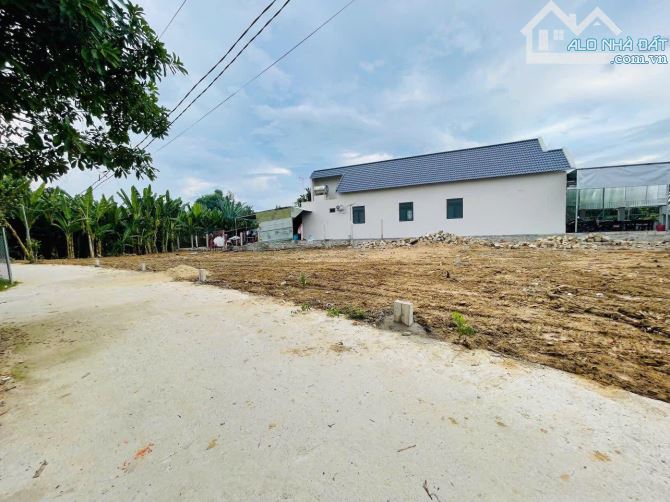DA81 Bán đất đường Lỗ Đế xã Diên An - Diên Khánh - 4